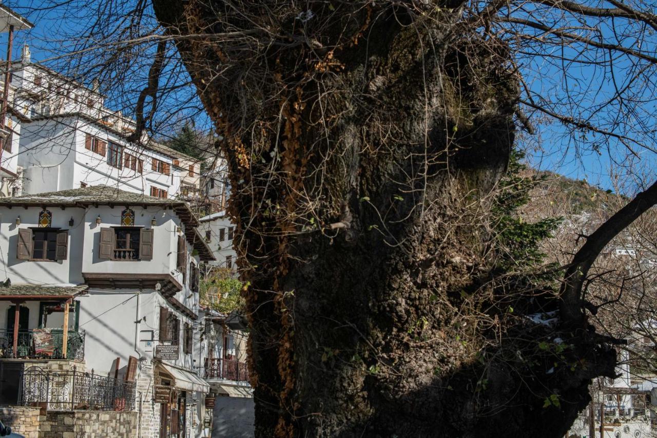Philos Guesthouse Makrinítsa Zewnętrze zdjęcie